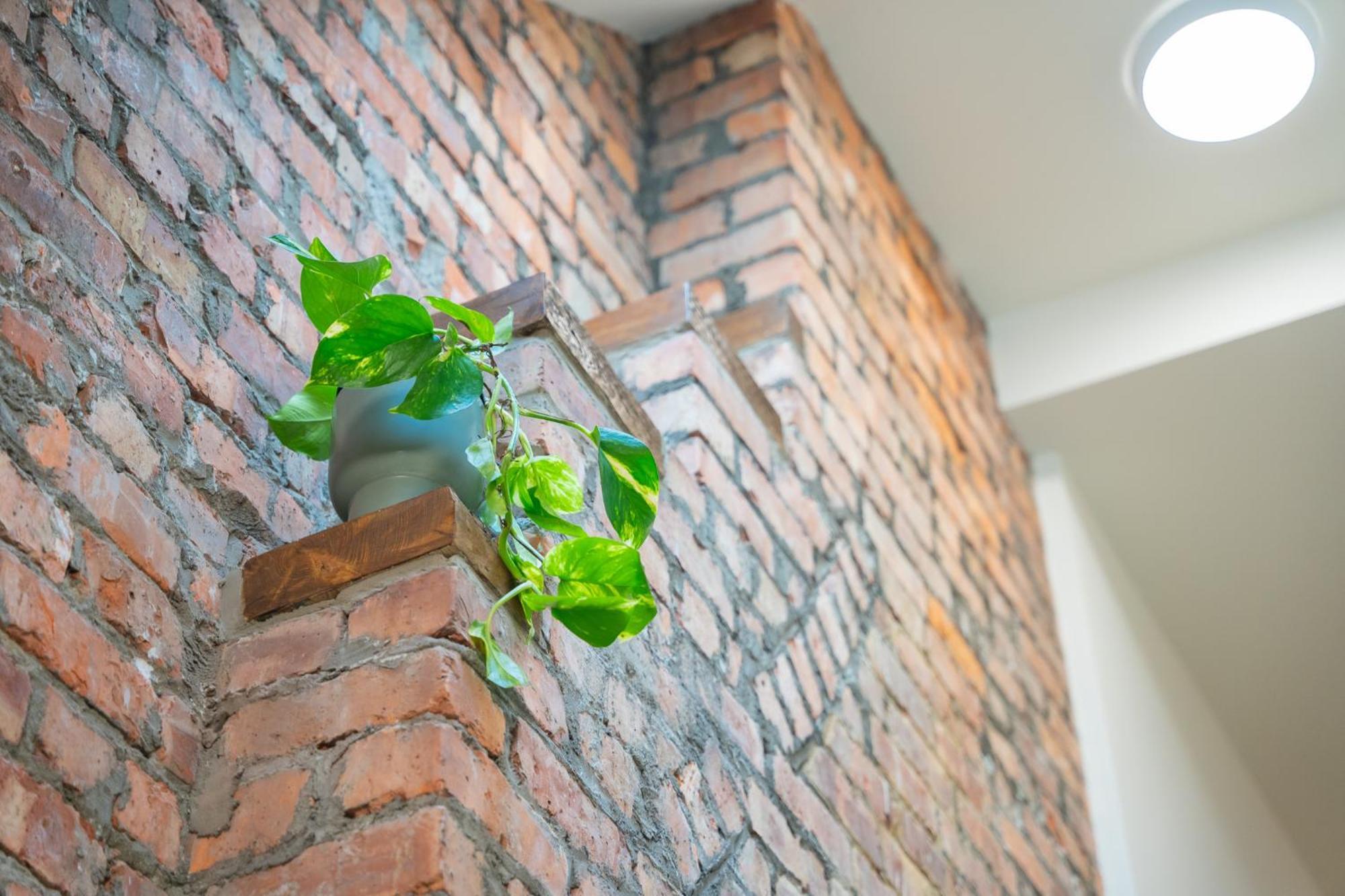 The Links Suites Newcastle  Bagian luar foto